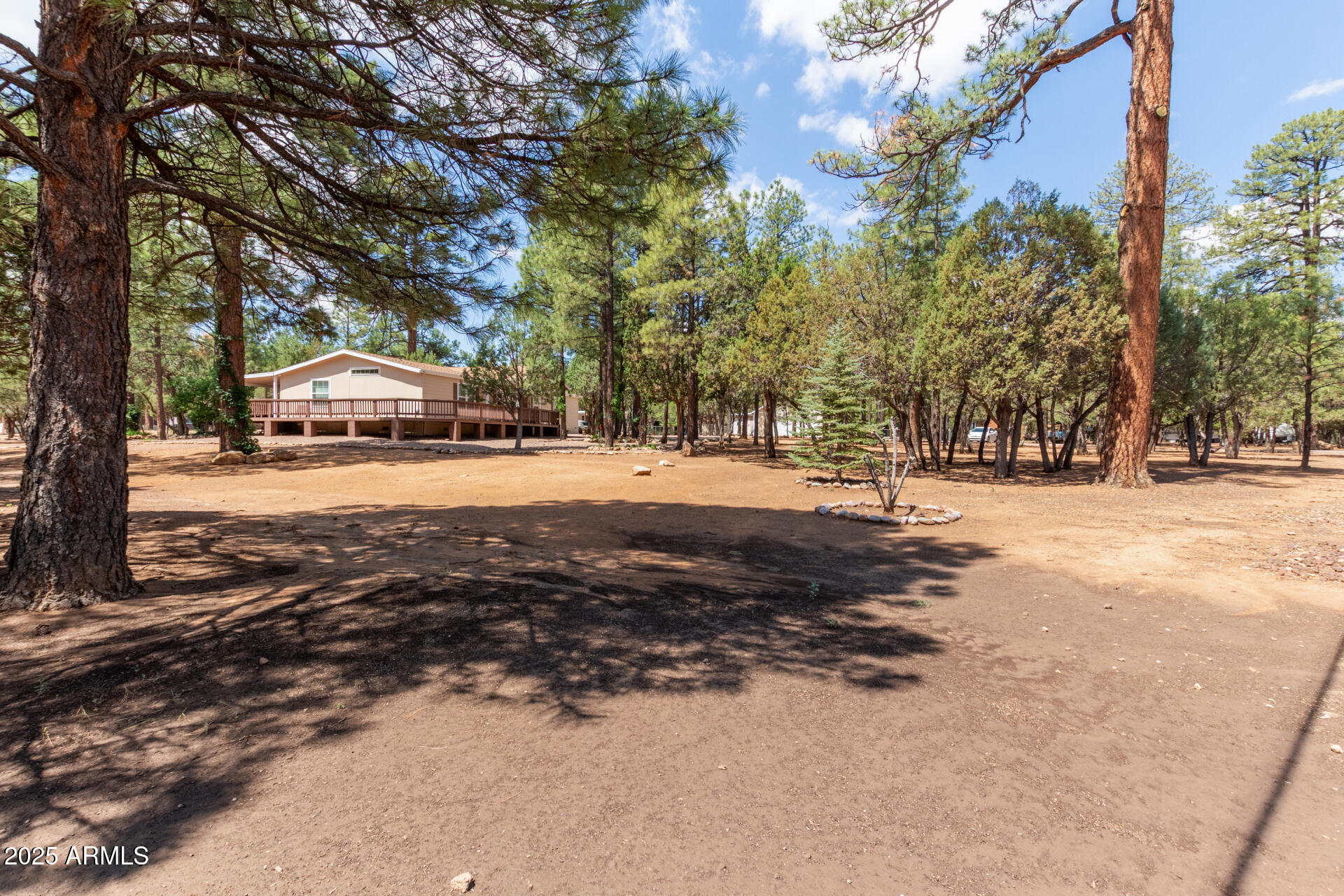 2884 Pine Rim Road Overgaard, AZ 85933 - Photo 5 of 80 05 - Rim