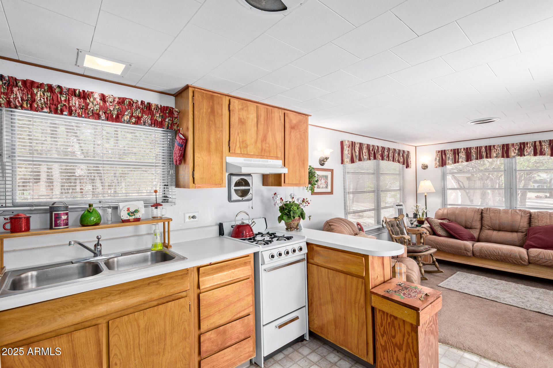 2884 Pine Rim Road Overgaard, AZ 85933 - Photo 52 of 80 53 - Rim