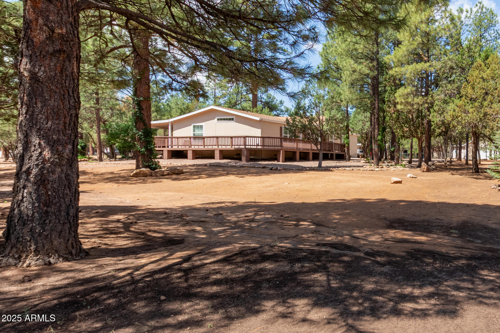 2884 Pine Rim Road Overgaard, AZ 85933 - Photo 6 of 80 06 - Rim