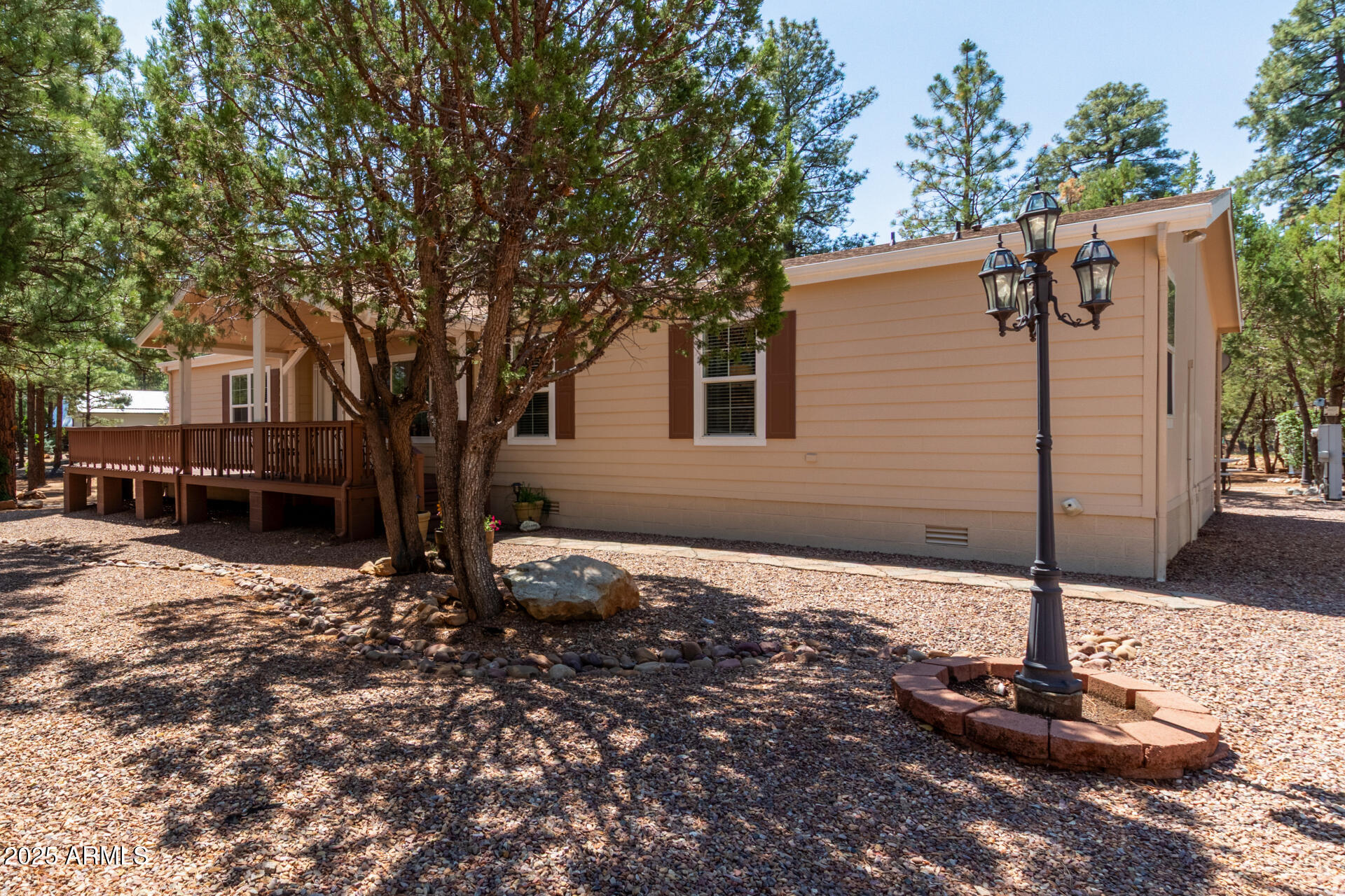 2884 Pine Rim Road Overgaard, AZ 85933 - Photo 8 of 80 08 - Rim