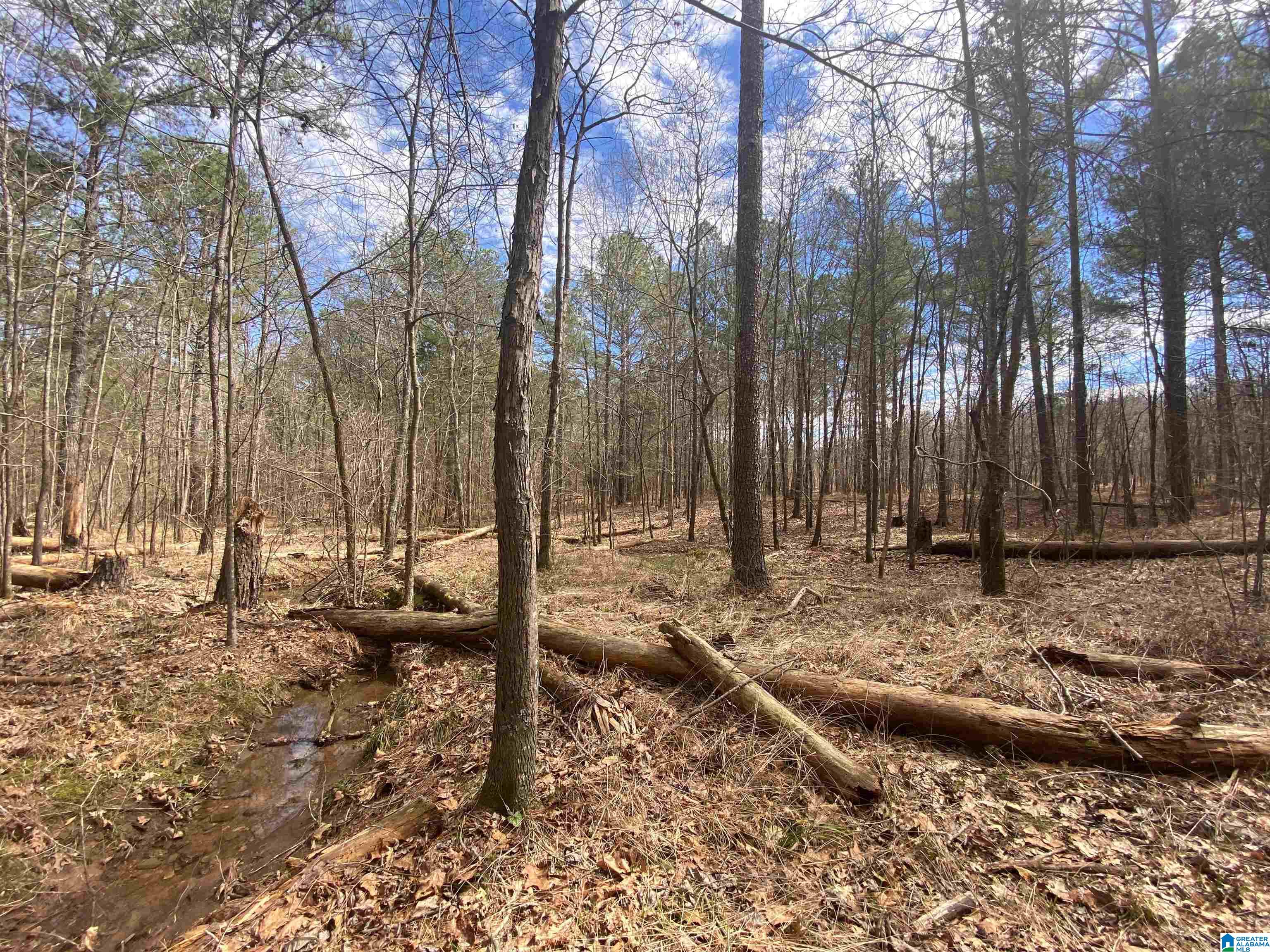 Springs Lane, Unit 12 Springville, AL 35146 - Photo 12 of 26