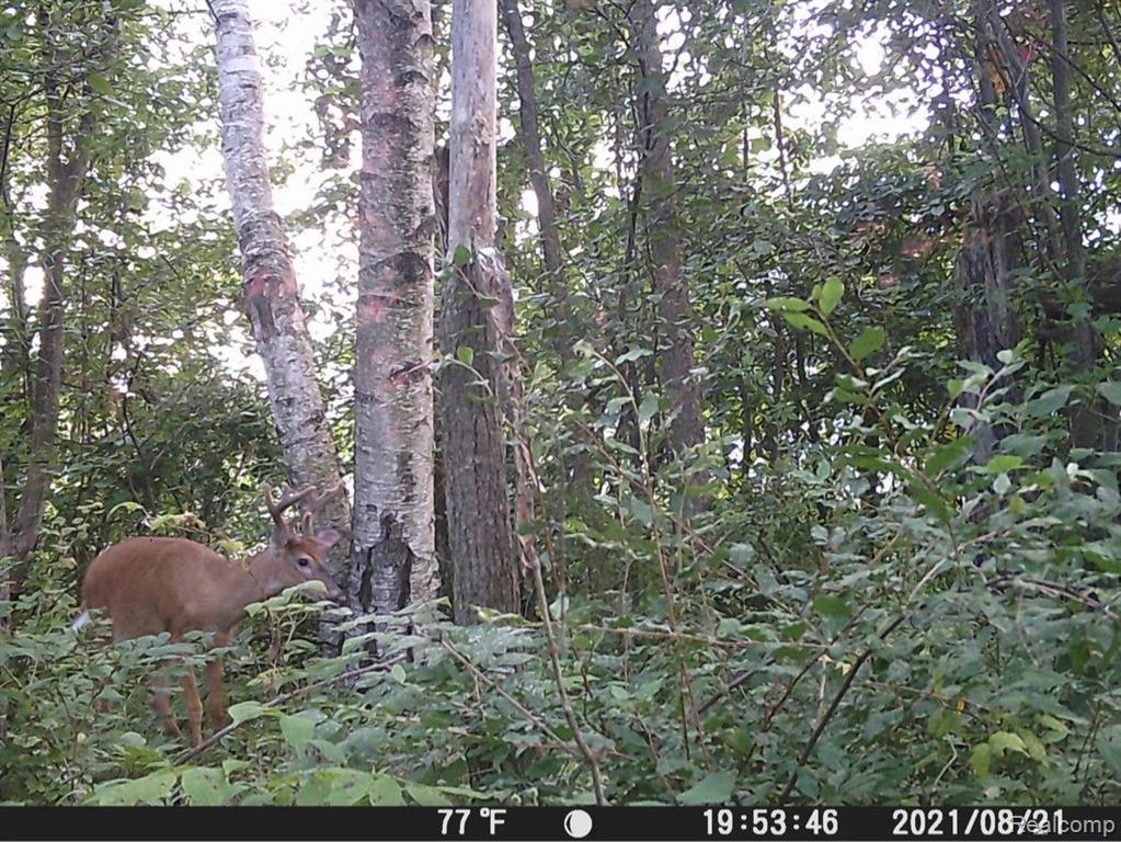 0 Welch Road Attica, MI 48412 - Photo 1 of 12