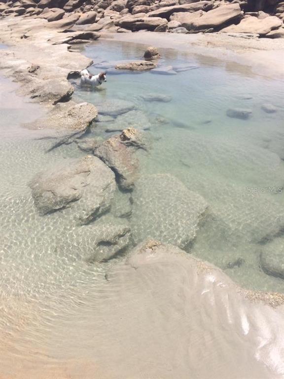 7 Turtle Beach Drive Palm Coast, FL 32137 - Photo 37 of 44