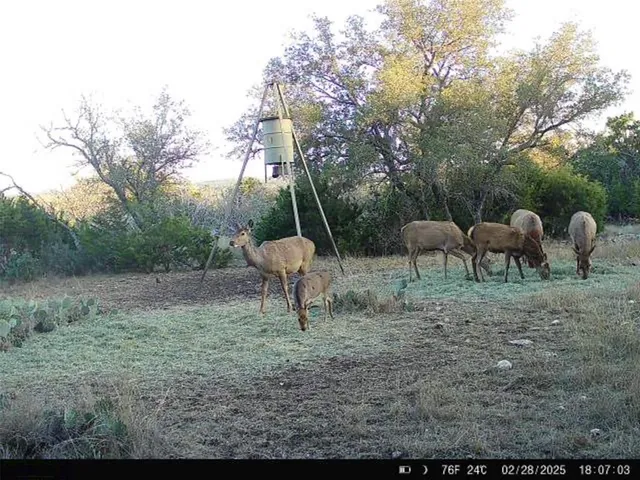 $899,900 | 190 Northwest Pvt Road Northwest, Junction, TX 76849