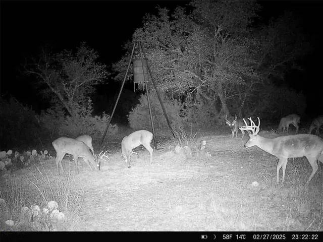 $899,900 | 190 Northwest Pvt Road Northwest, Junction, TX 76849