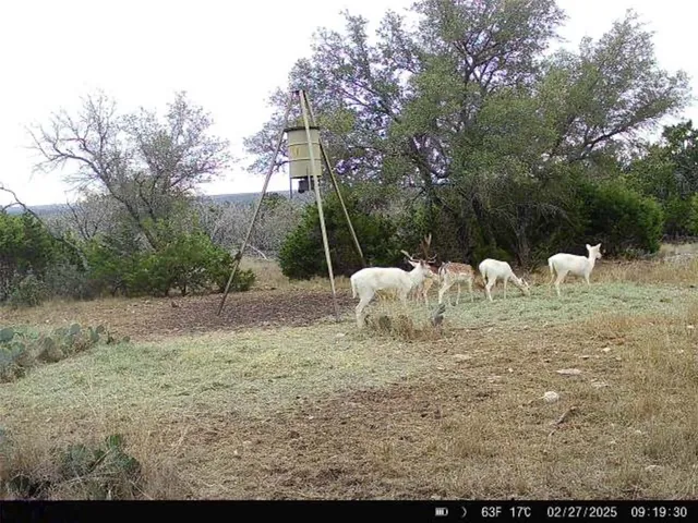 $899,900 | 190 Northwest Pvt Road Northwest, Junction, TX 76849