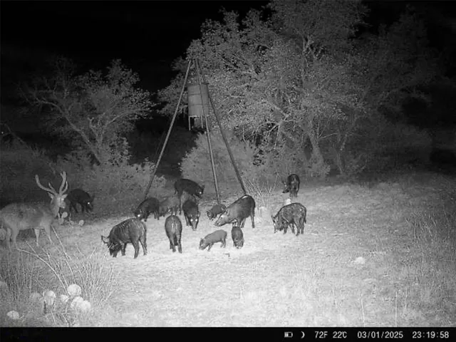 $899,900 | 190 Northwest Pvt Road Northwest, Junction, TX 76849