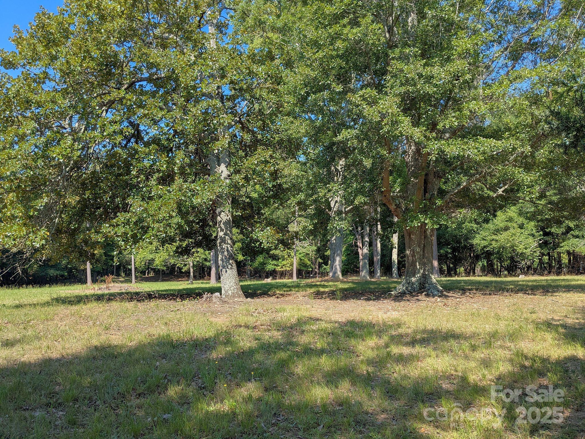 -tract #1a Tract Road Catawba, SC 29704 - Photo 2 of 5 a house view with a outdoor space
