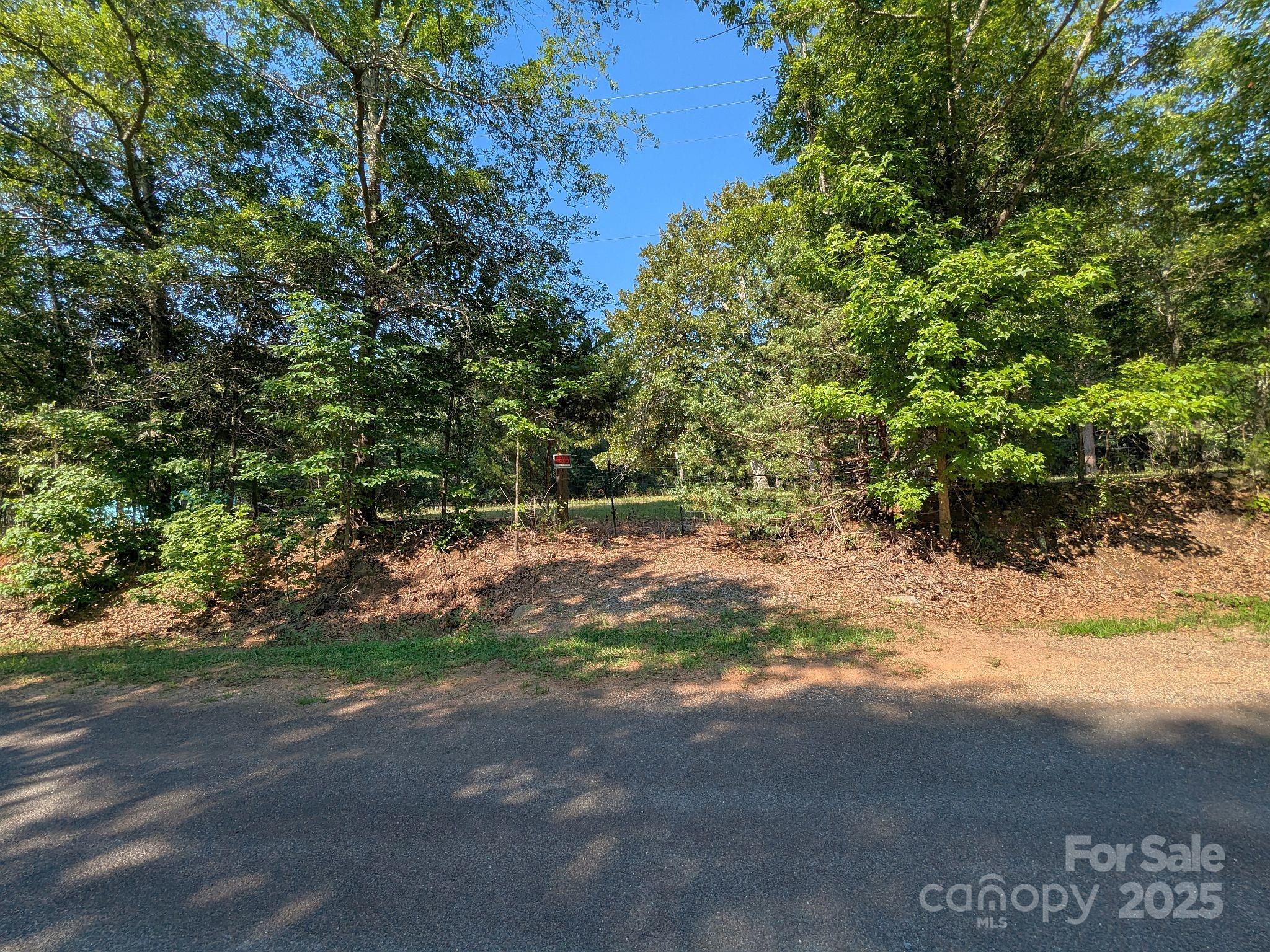 -tract #1a Tract Road Catawba, SC 29704 - Photo 3 of 5 a view of backyard with green space