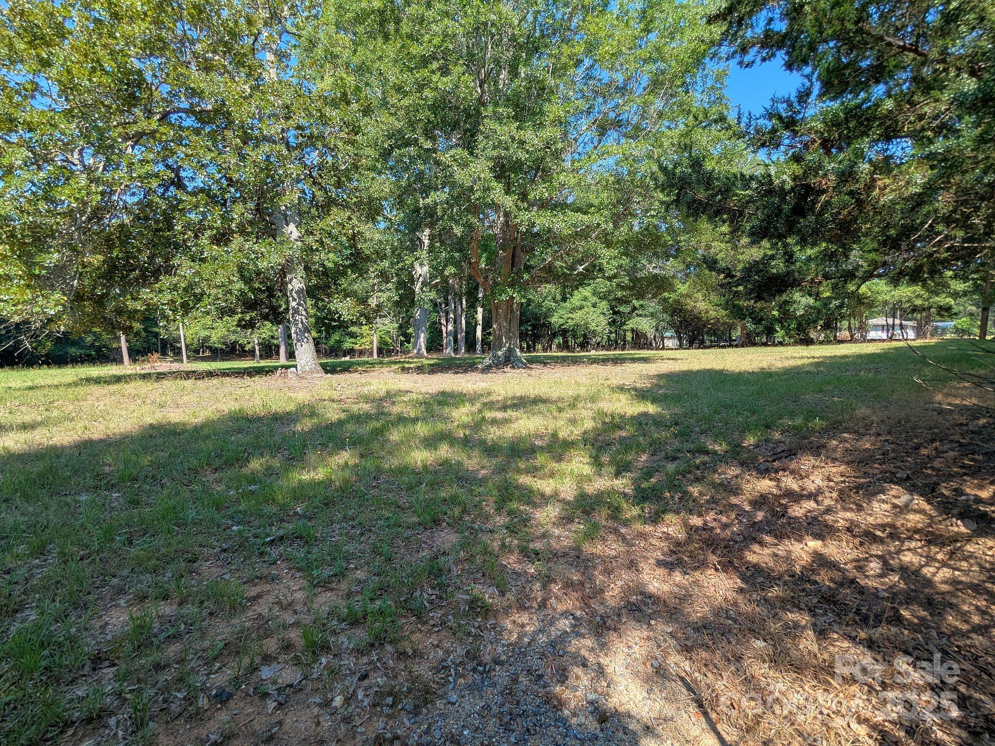 -tract #1a Tract Road Catawba, SC 29704 - Photo 4 of 5 a view of outdoor space with trees all around