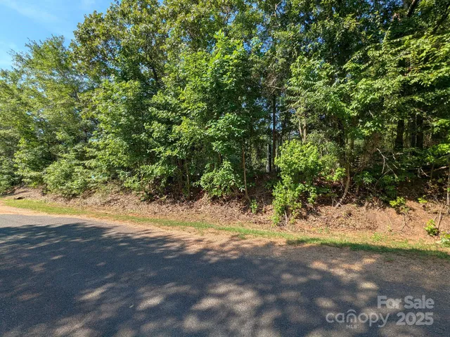 a view of dirt yard with a tree