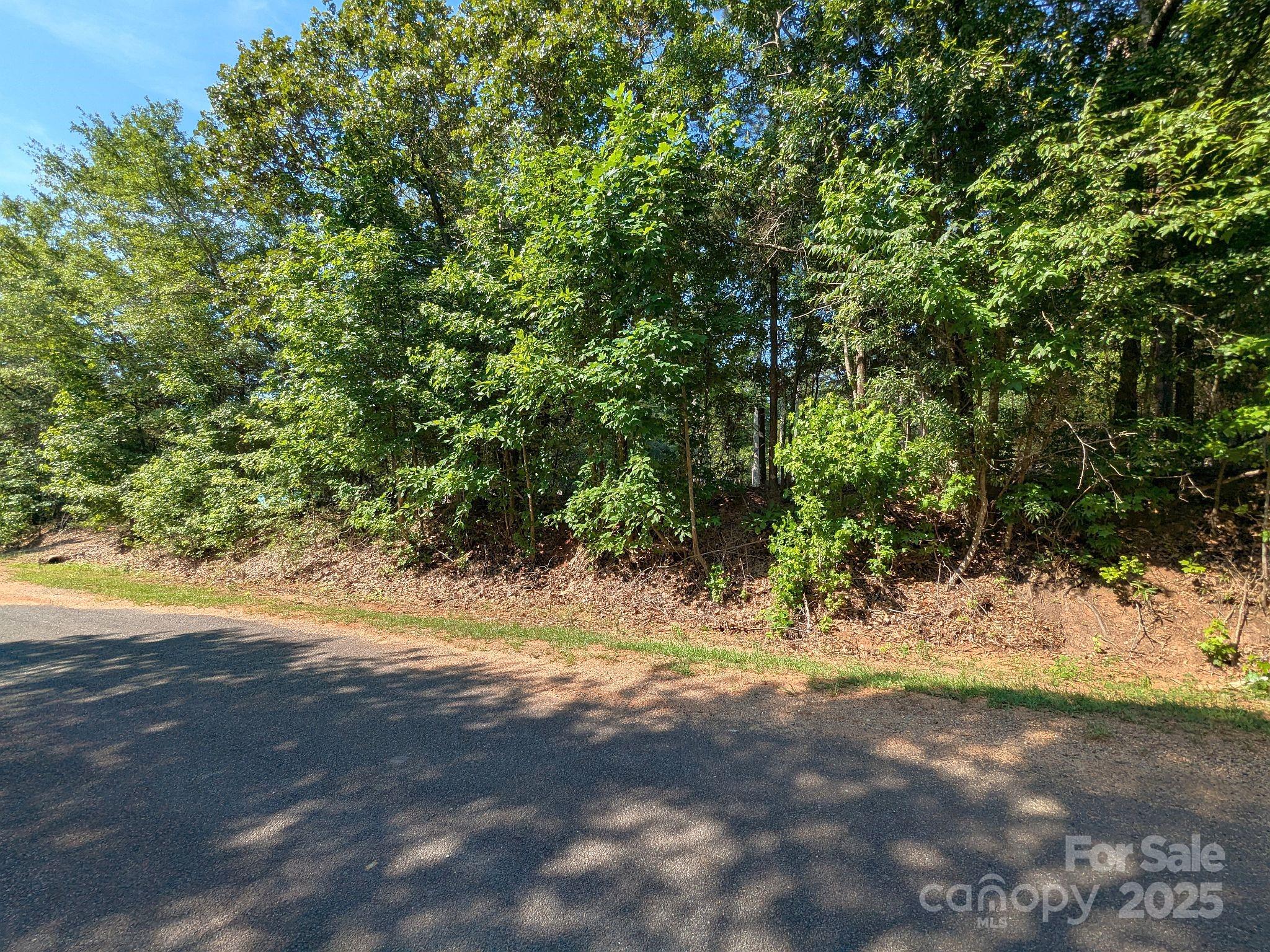 -tract #1a Tract Road Catawba, SC 29704 - Photo 5 of 5 a view of dirt yard with a tree