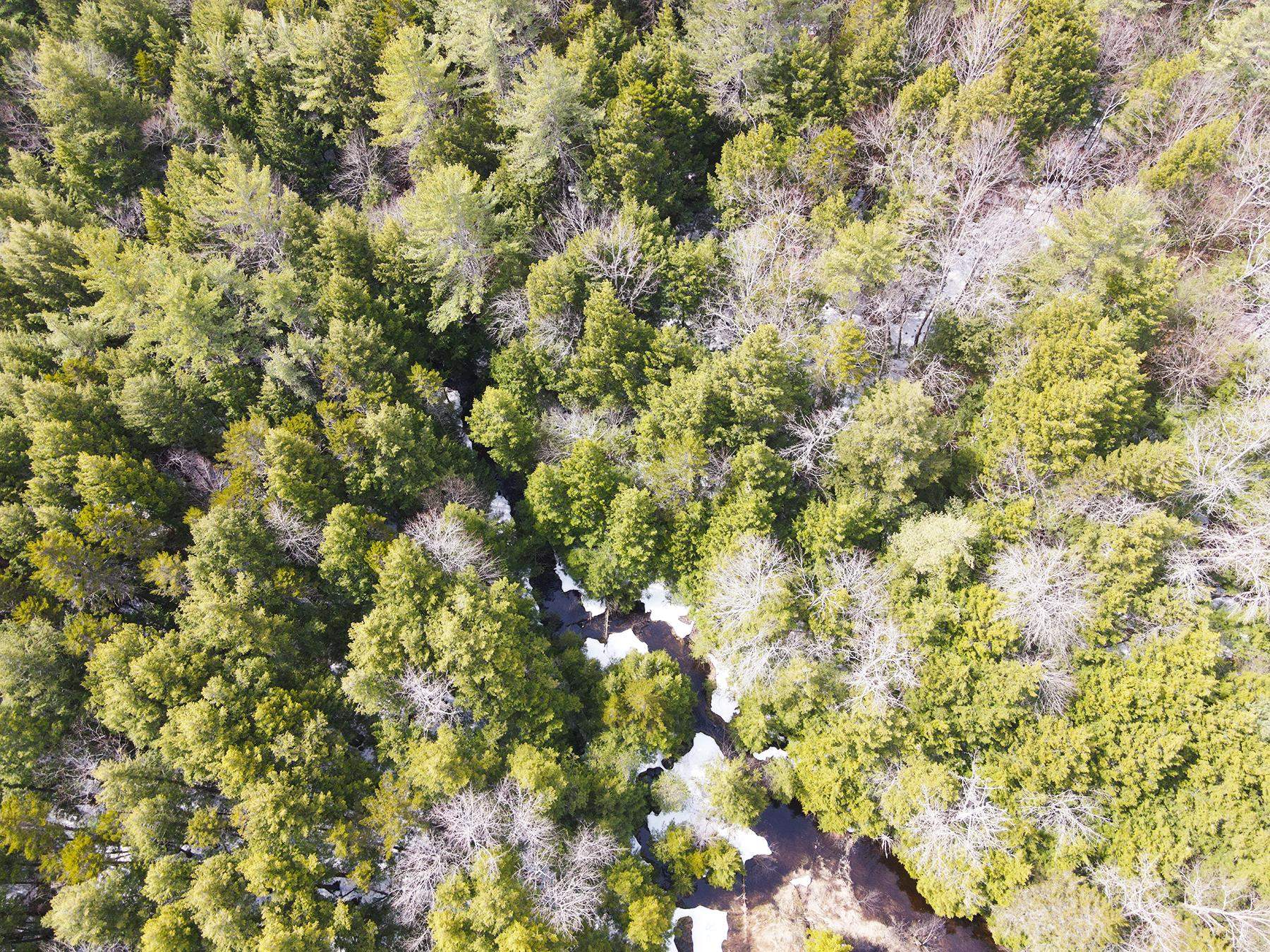 0 Old Range Road Sanbornton, NH 03269 - Photo 12 of 22