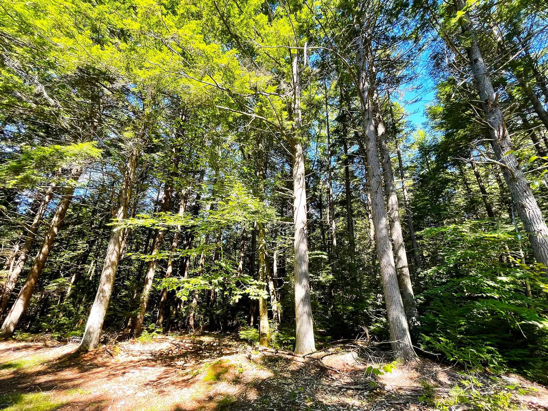 0 Old Range Road Sanbornton, NH 03269 - Photo 4 of 22