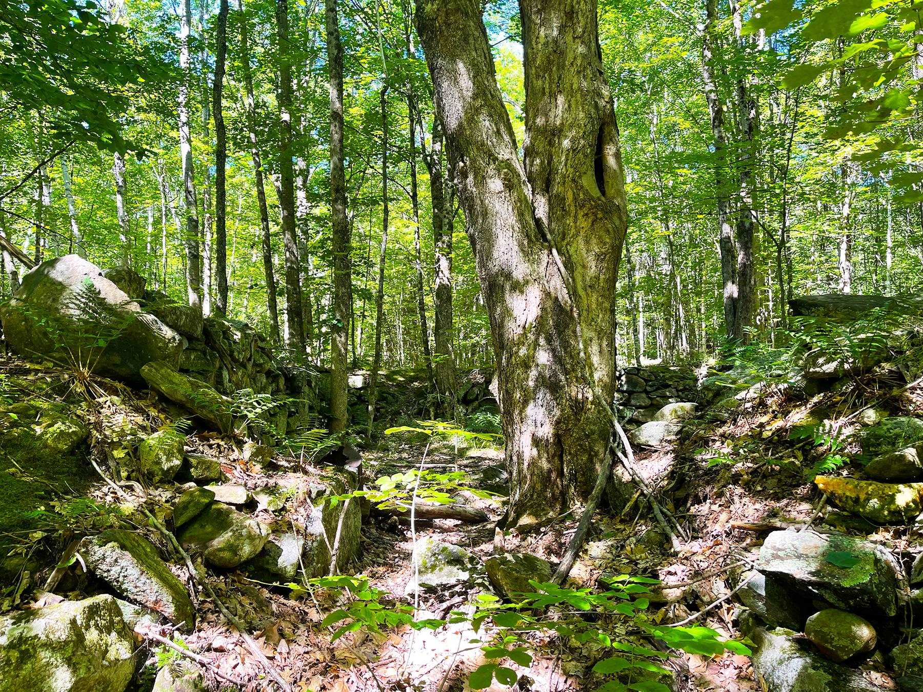 0 Old Range Road Sanbornton, NH 03269 - Photo 5 of 22