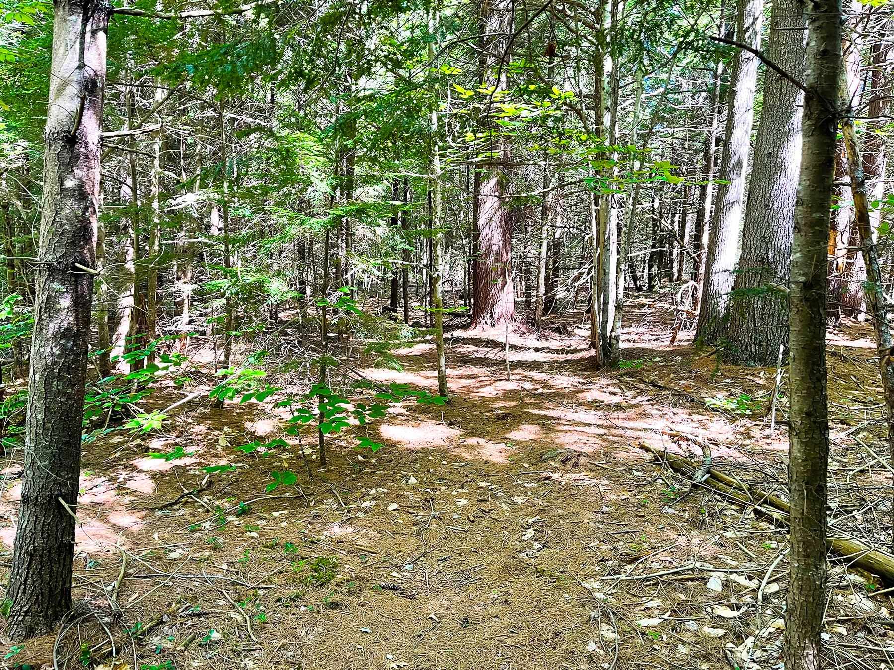 0 Old Range Road Sanbornton, NH 03269 - Photo 6 of 22