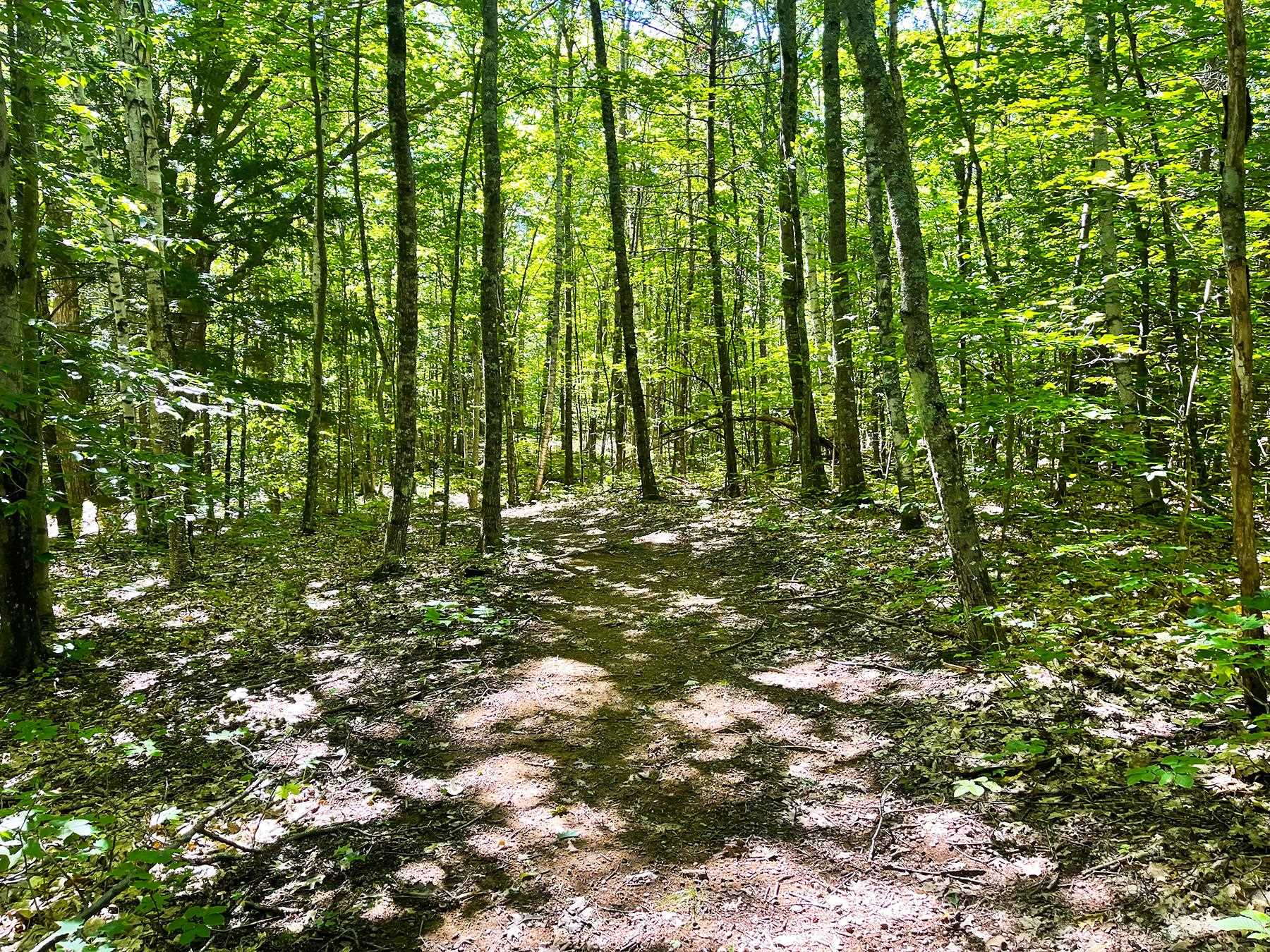 0 Old Range Road Sanbornton, NH 03269 - Photo 7 of 22