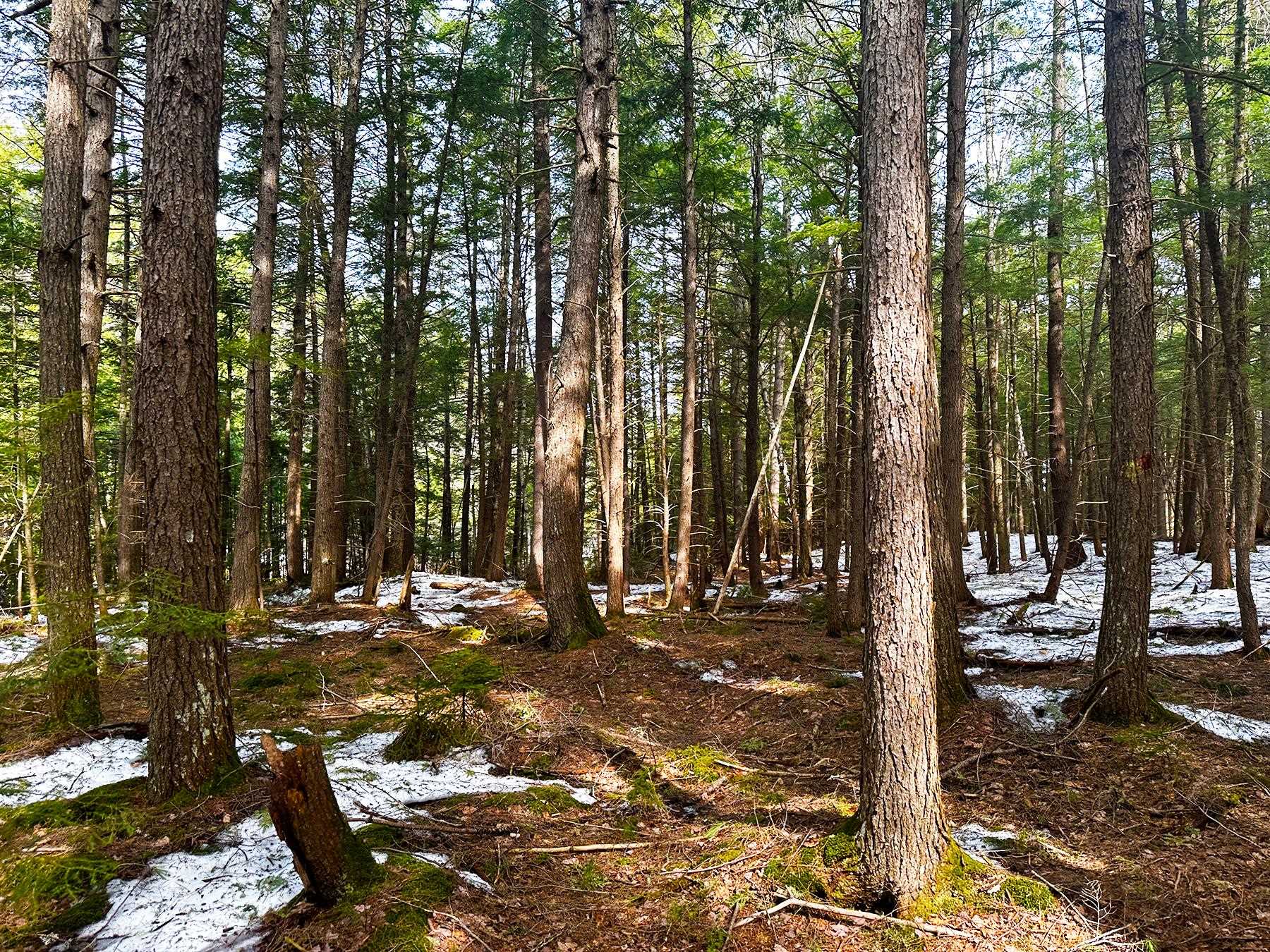 0 Old Range Road Sanbornton, NH 03269 - Photo 8 of 22