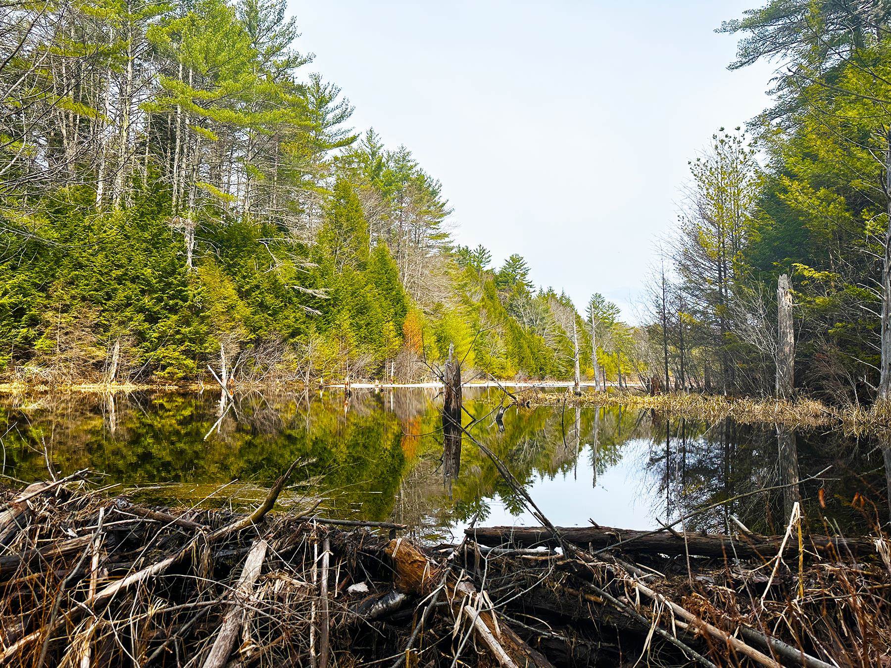 0 Old Range Road Sanbornton, NH 03269 - Photo 10 of 22