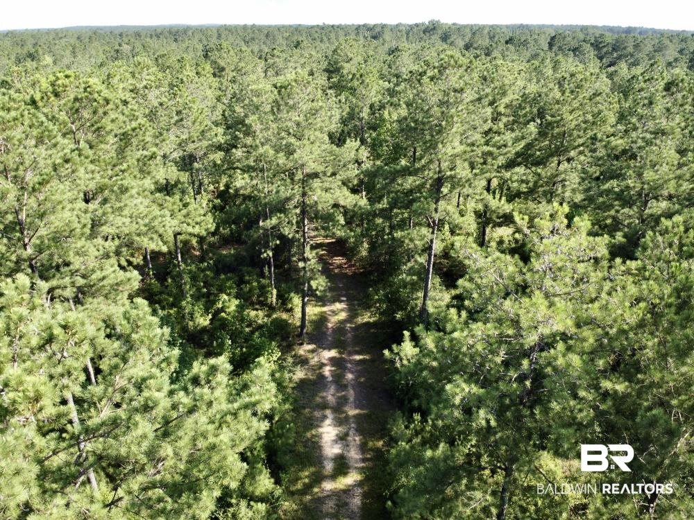 0 Old Ganey Road Stockton, AL 36579 - Photo 29 of 45