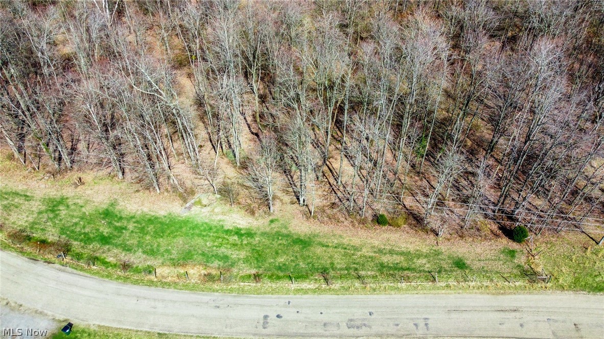 17805 Early Cemetary Road Kimbolton, OH 43749 - Photo 26 of 30 View of undeveloped land
