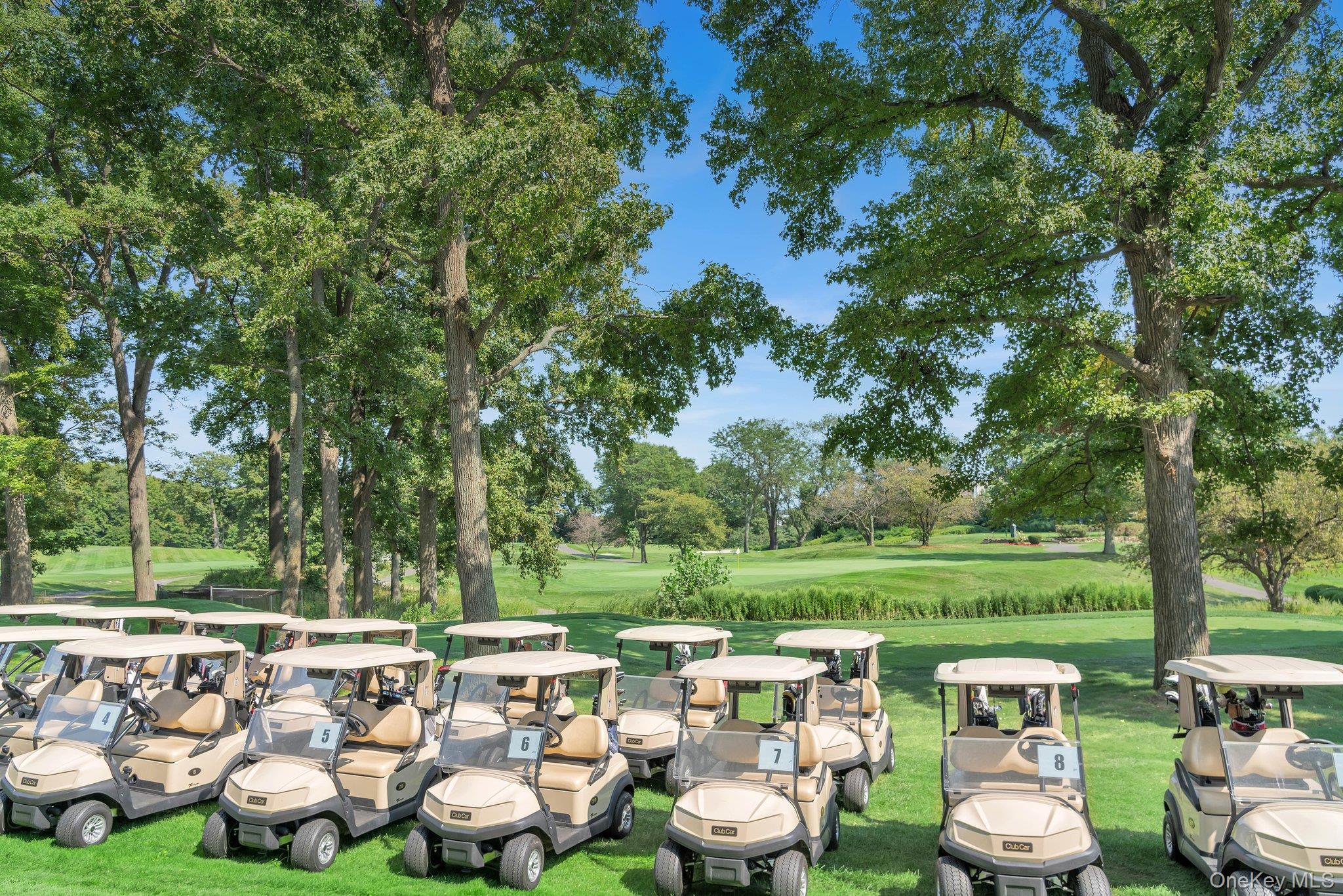 269 Grand Central Parkway, Unit 32O Queens, NY 11005 - Photo 32 of 33 a yard with lots of green space and outdoor seating