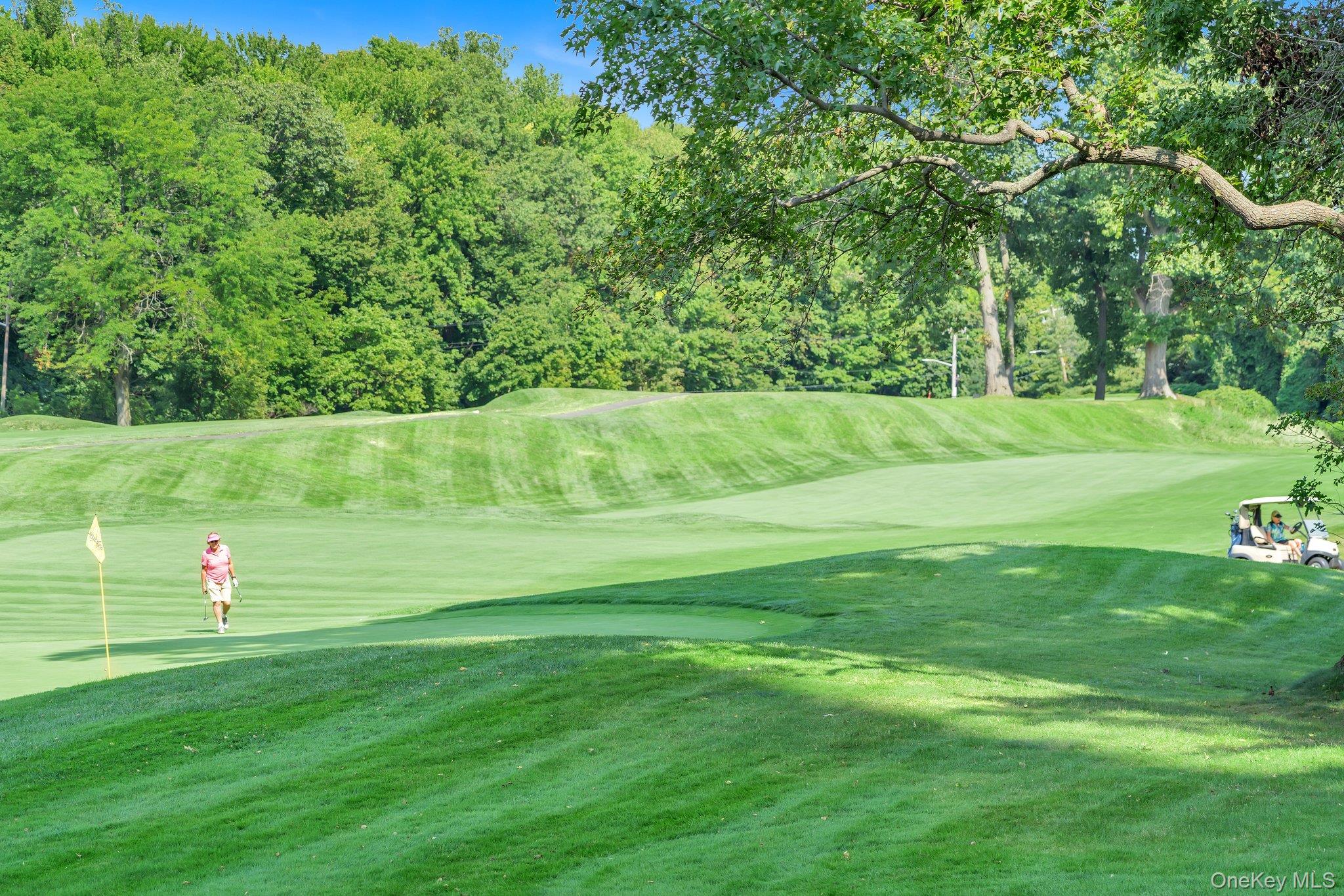 269 Grand Central Parkway, Unit 32O Queens, NY 11005 - Photo 33 of 33 a view of field with grass and trees