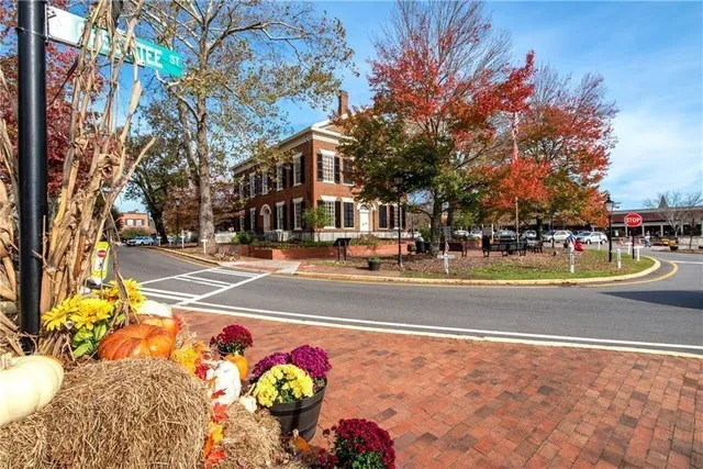 a view of street with large trees
