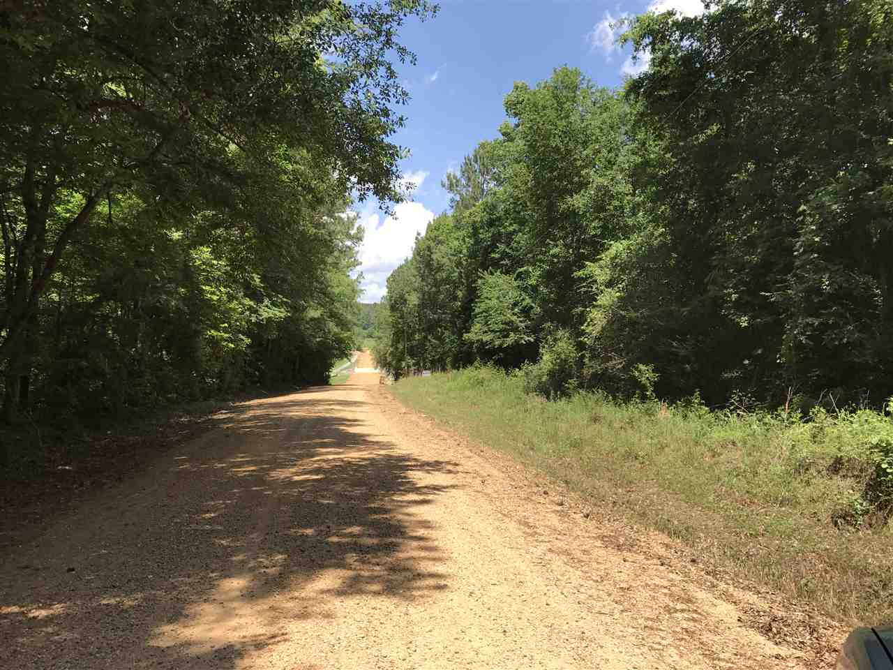 3122 Little Springs Road McComb, MS 39648 - Photo 4 of 5 Photo 4