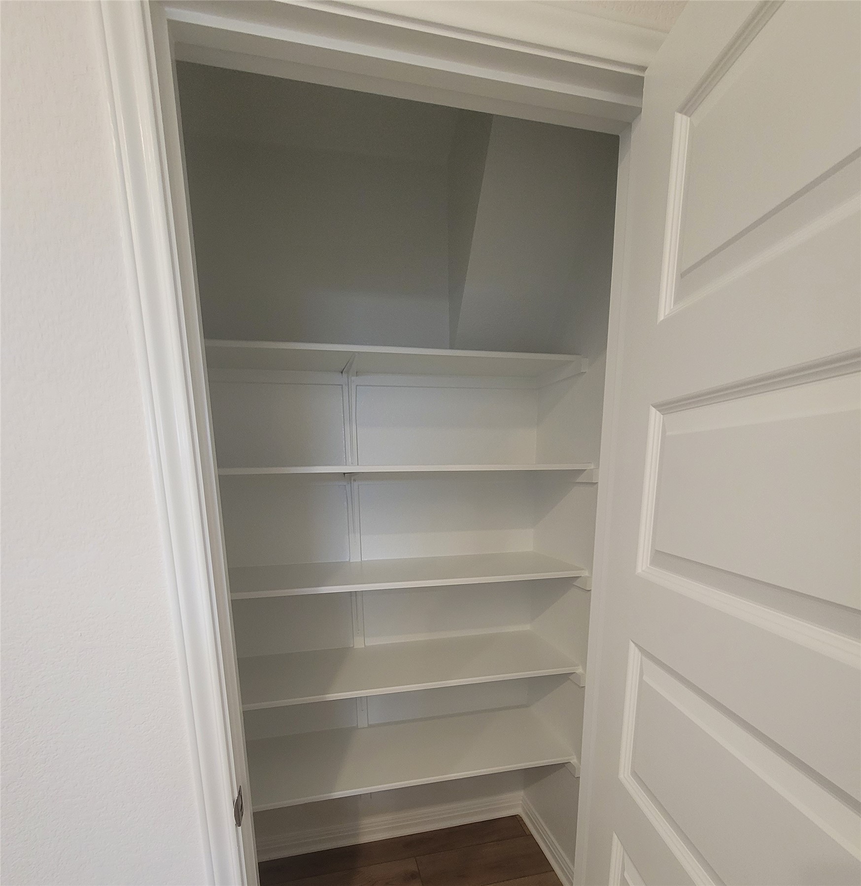 200 Callahan Loop Buda, TX 78610 - Photo 9 of 13 Recessed pantry with multiple integrated white shelving units, a coordinating white trim door, and wood-finish flooring