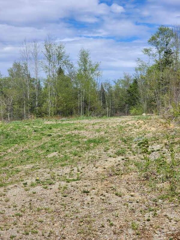 207 Cow Team Road Crystal, ME 04747 - Photo 4 of 12 20250515_141949