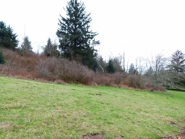 Tl#1008 Bel Air Road Cloverdale, OR 97112 - Photo 16 of 20 P1080395