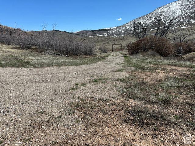 5565 Big Hollow Road Fairview, UT 84629 - Photo 10 of 22