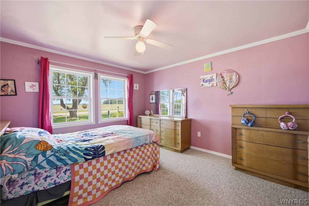 1635 Brant North Collins Road Brant, NY 14111 - Photo 20 of 36 nice natural lighting