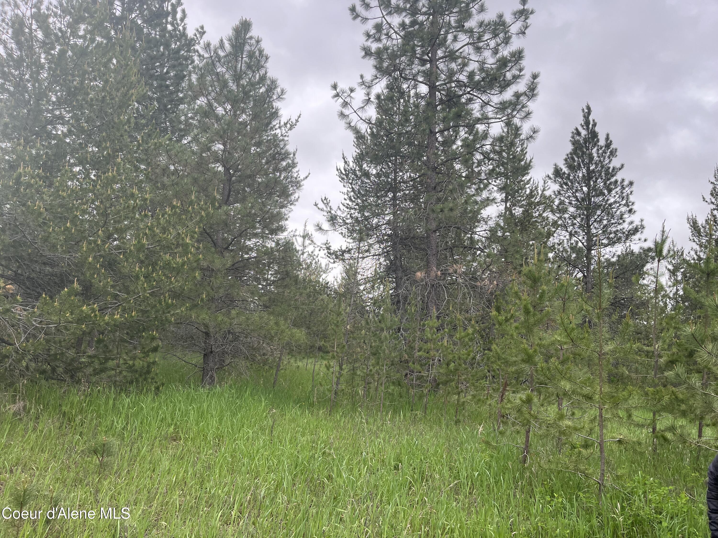 Nna North Sheep Springs Road Athol, ID 83801 - Photo 18 of 19 IMG_5805