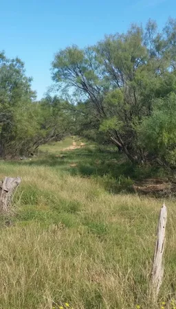 a view of a yard with an outdoor space