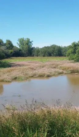 a view of lake with green space