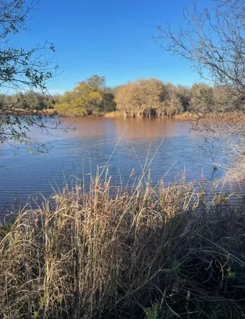 a view of a lake with a mountain in the background