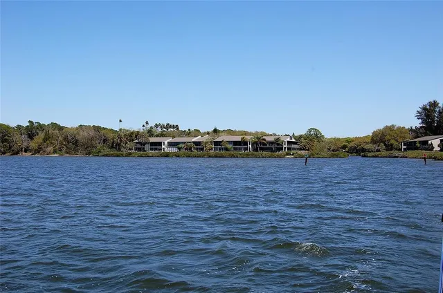 a view of a flower in a yard