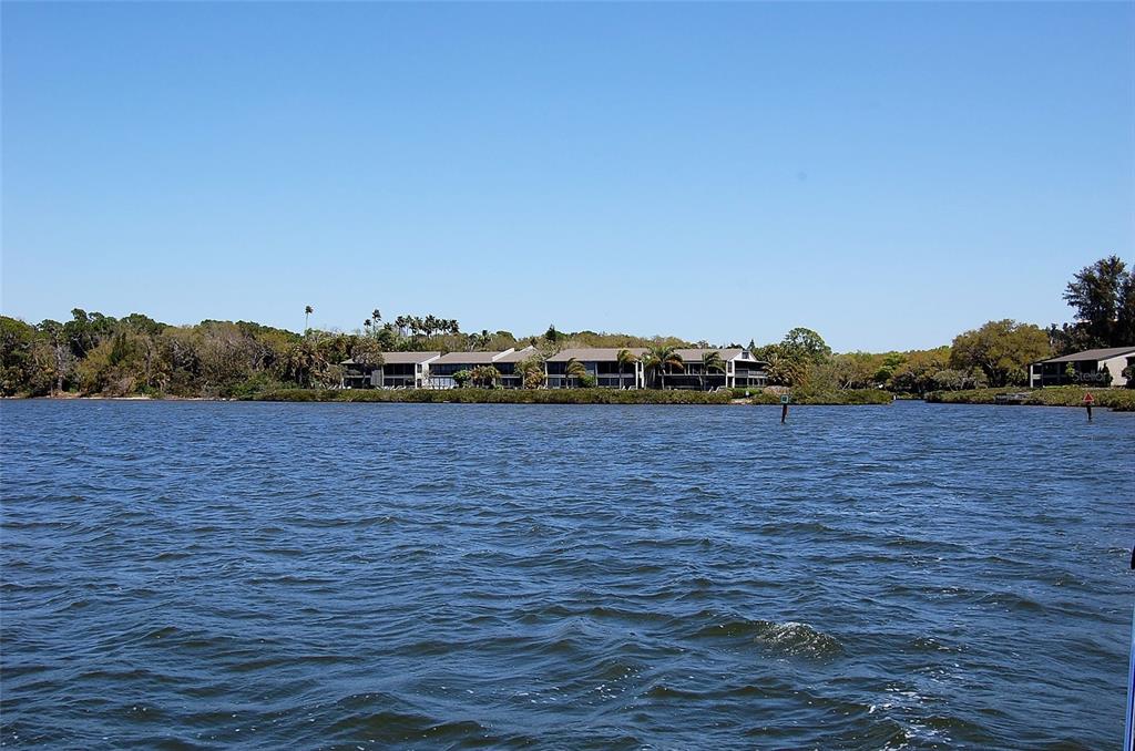 1720 Glenhouse Drive, Unit GL429 Sarasota, FL 34231 - Photo 22 of 34 wooden floor with a view of lake