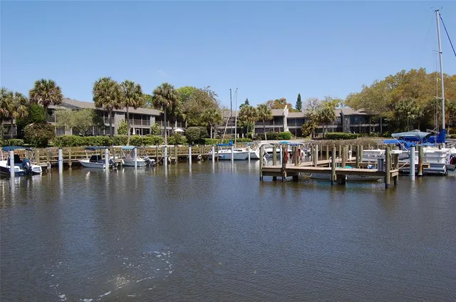 a view of a lake with a big yard