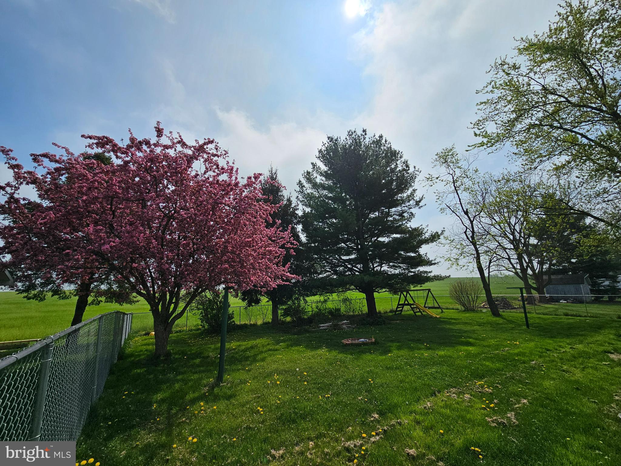 725 Littlestown Road Littlestown, PA 17340 - Photo 7 of 30 Back yard