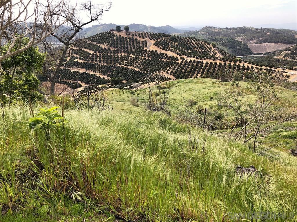 30084 Ridge Creek Road Valley Center, CA 92082 - Photo 4 of 7