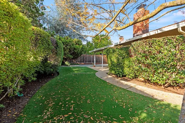 a view of a yard with plants and trees