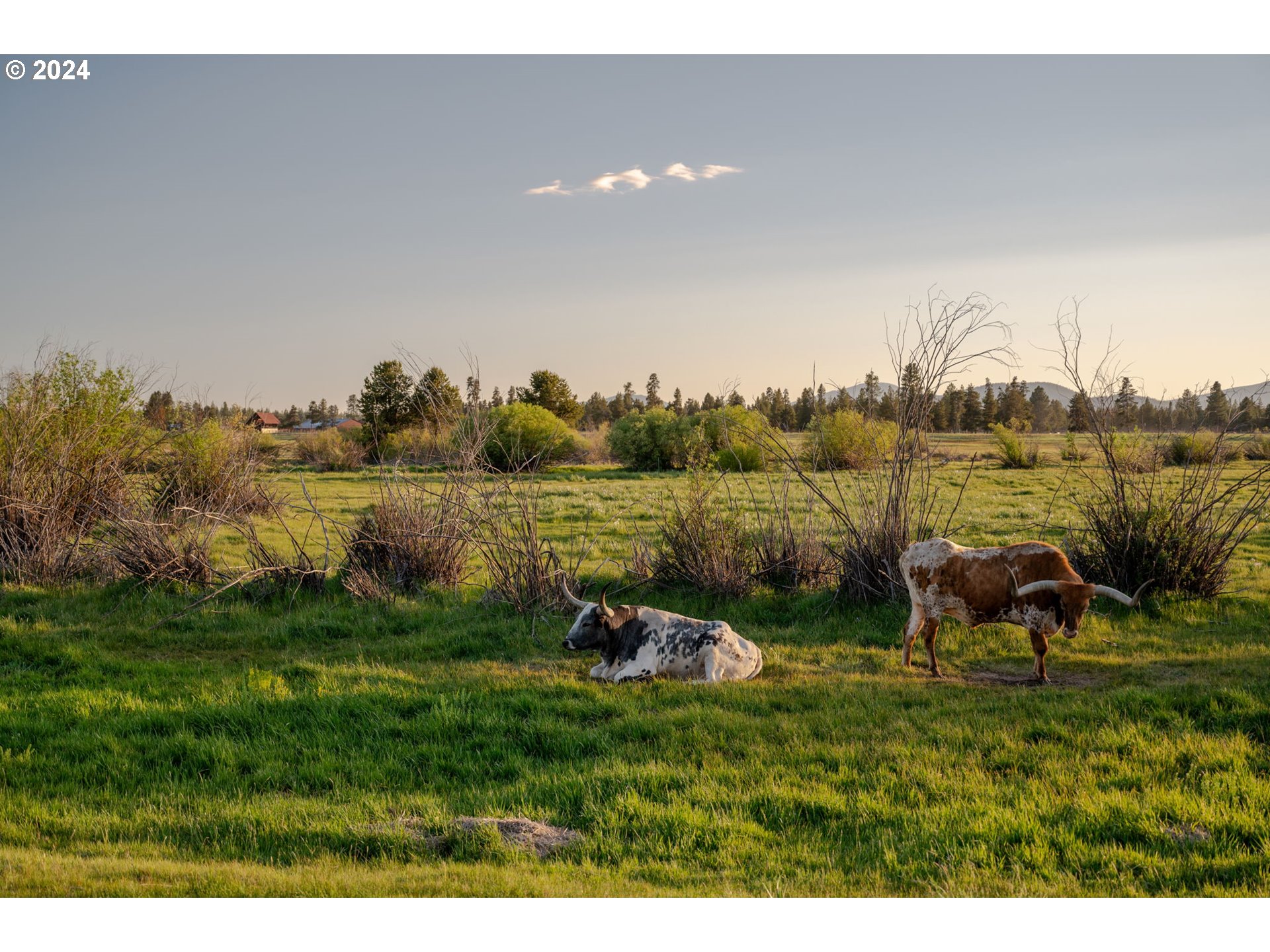 52255 Huntington Road La Pine, OR 97739 - Photo 40 of 48 a view of a backyard