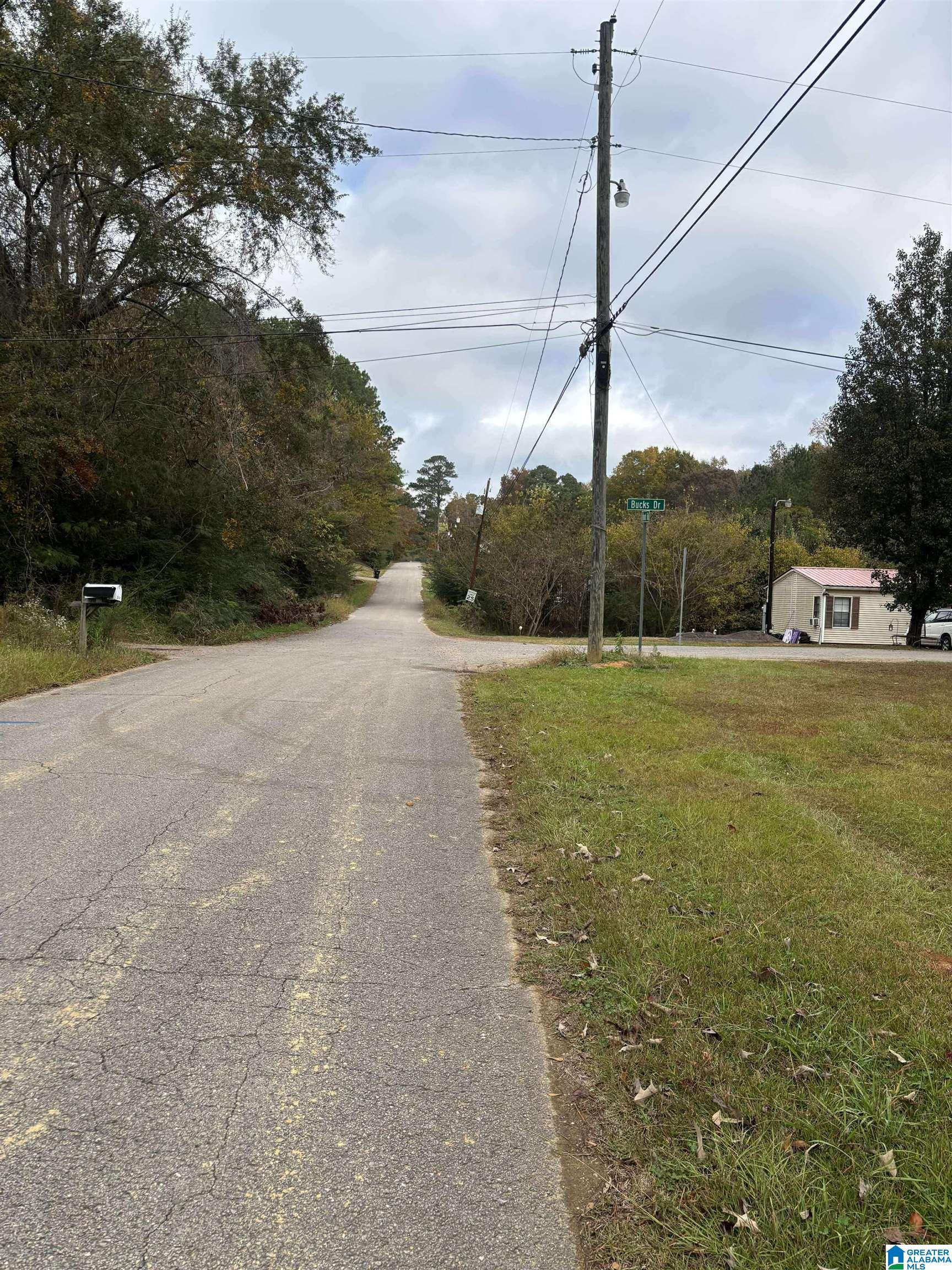 5035 Forestwood Road Adamsville, AL 35005 - Photo 1 of 6