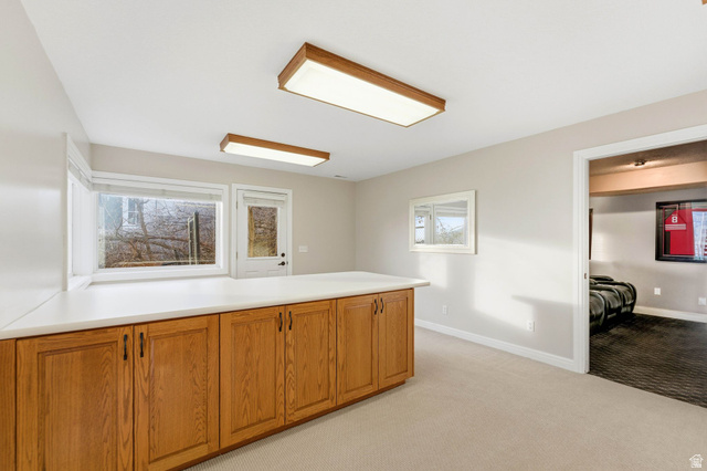 1878 East Ridge Point Drive Bountiful, UT 84010 - Photo 60 of 92 Kitchen featuring light countertops, light carpet, wood finish cabinets, and healthy amount of natural light