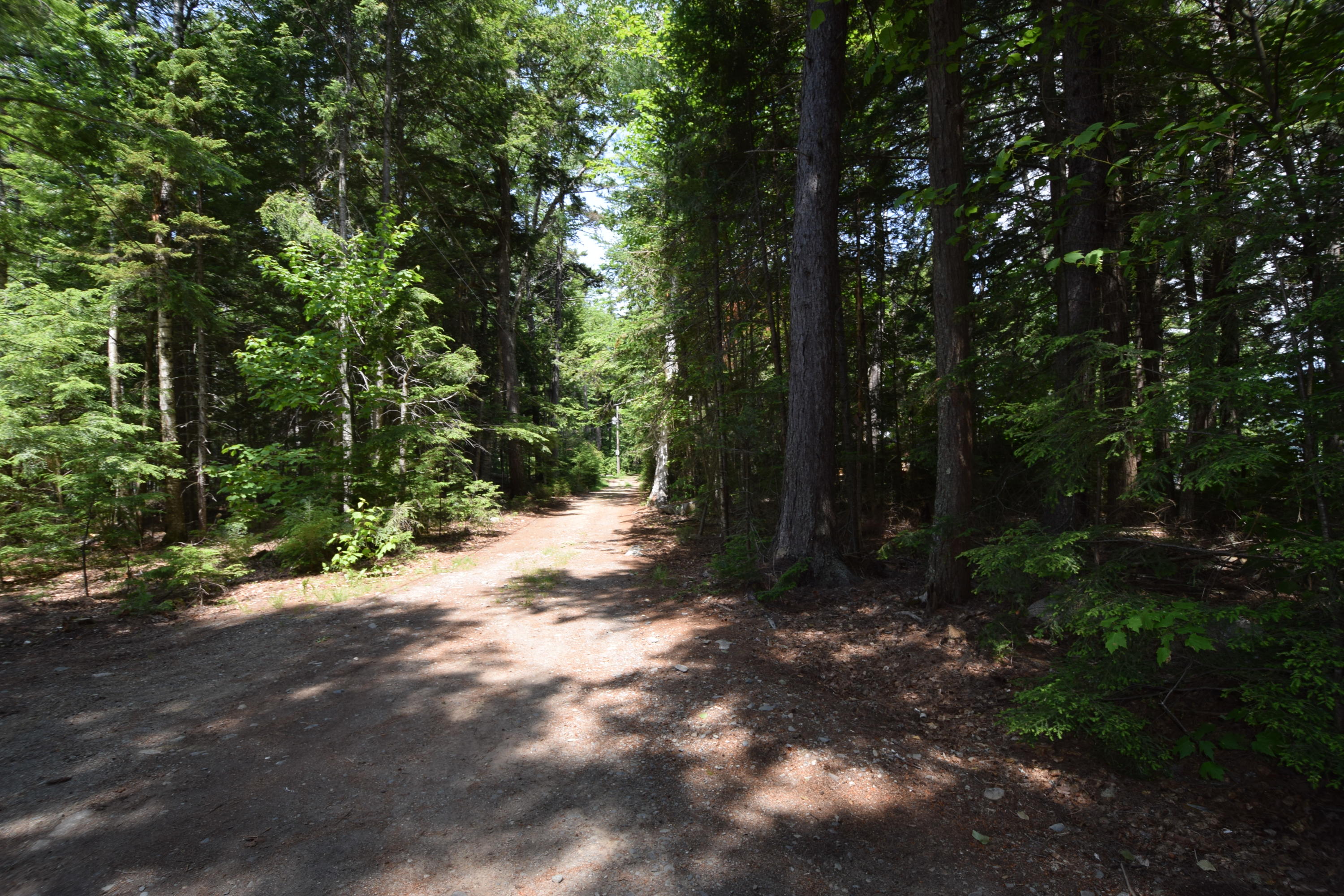 0 Chadwick Pt Road Weston, ME 04424 - Photo 14 of 20 Chadwick Point Road...