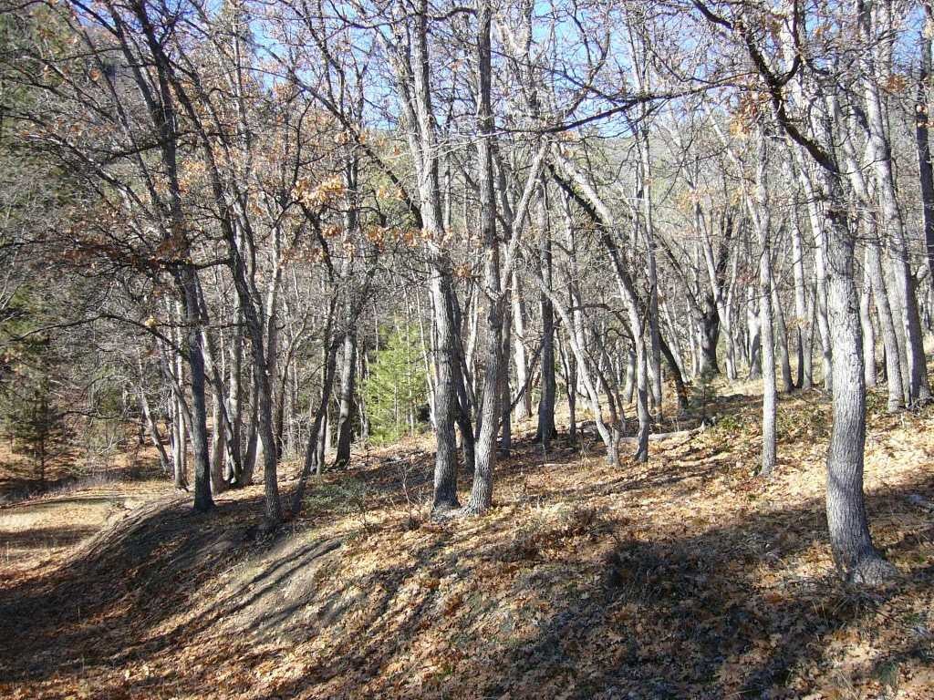 20 Acres Scarface Road Gazelle, CA 96034 - Photo 6 of 34 Gallery Image 6