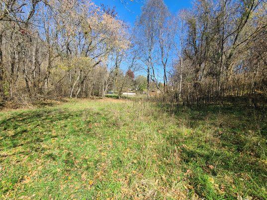 Tbd Moore Creek Road Meadowview, VA 24361 - Photo 5 of 13 Gallery Image 5